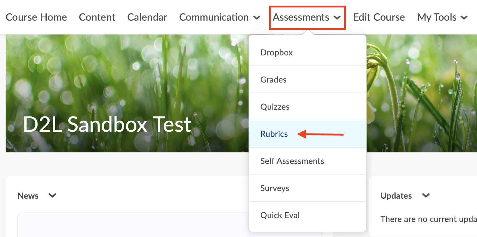 Rubrics item under assessment dropdown